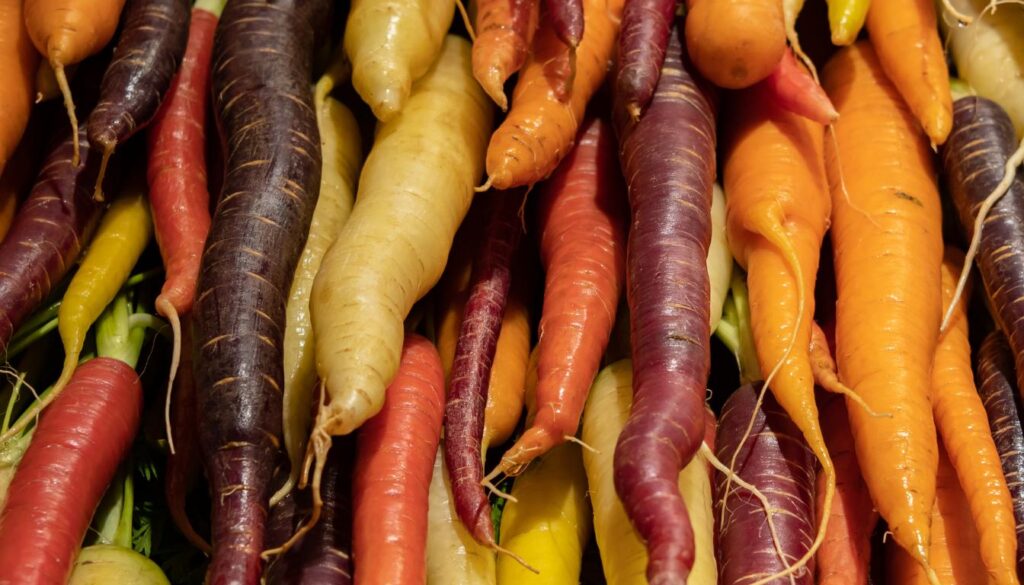 10 Tipos de Cenoura que Você Precisa Conhecer - Dicas de Ouro do ...