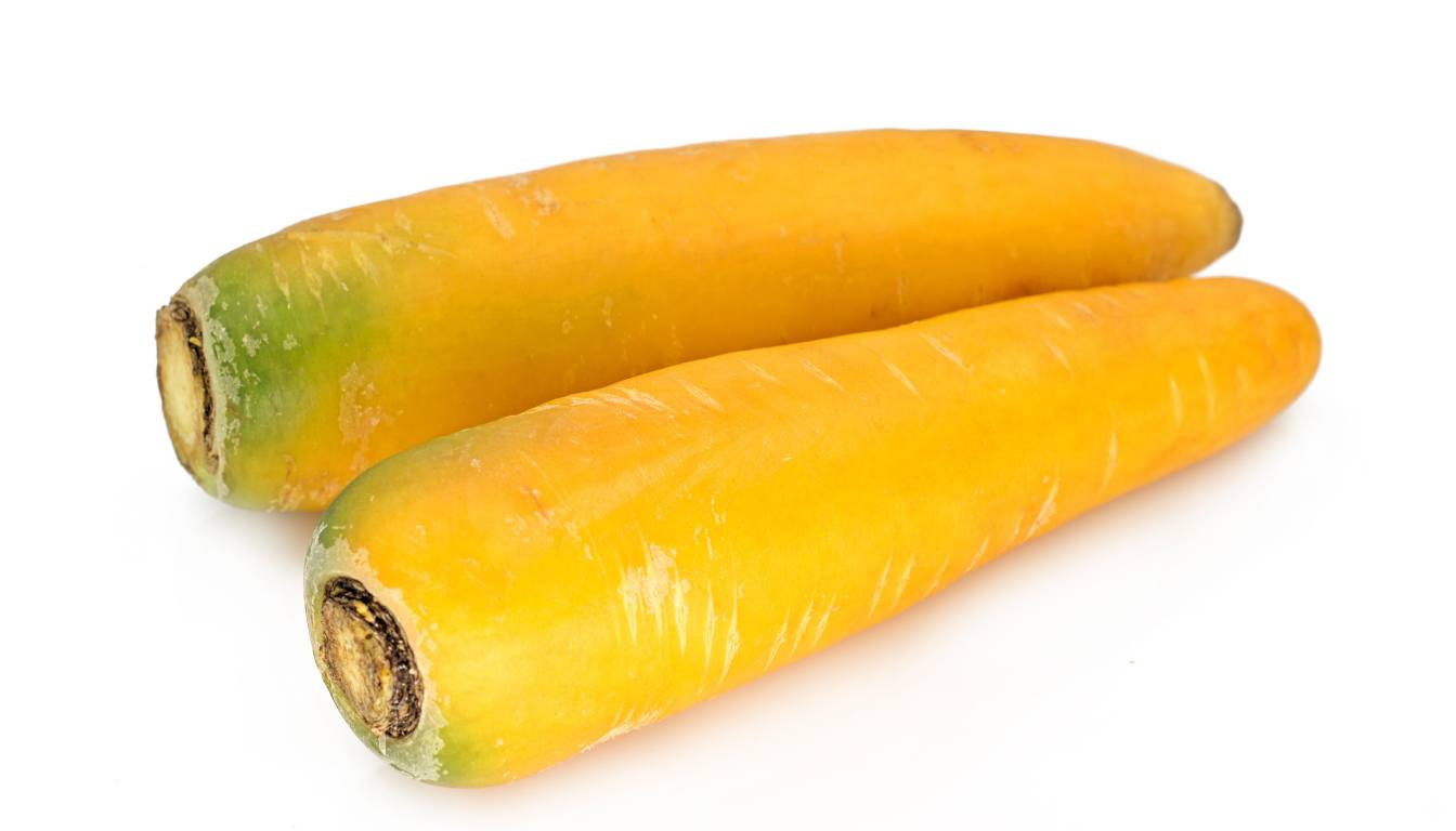 10 Tipos de Cenoura que Você Precisa Conhecer - Dicas de Ouro do ...